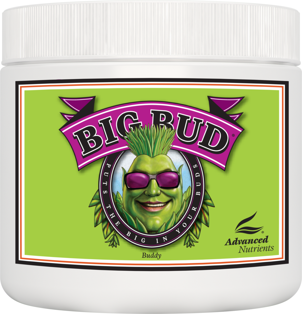 AN Big Bud Powder 500 g