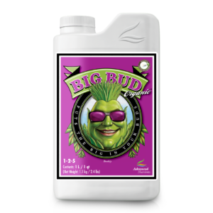 AN OG Organics Big Bud 250 ml