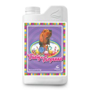 AN Tasty Terpenes 1 l
