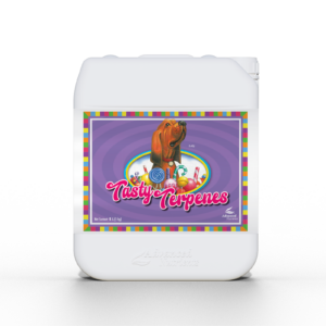 AN Tasty Terpenes 5 l