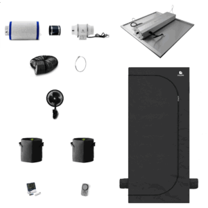 Caluma Set - 2 Plants Plus (80 x 80 cm, 240 W)