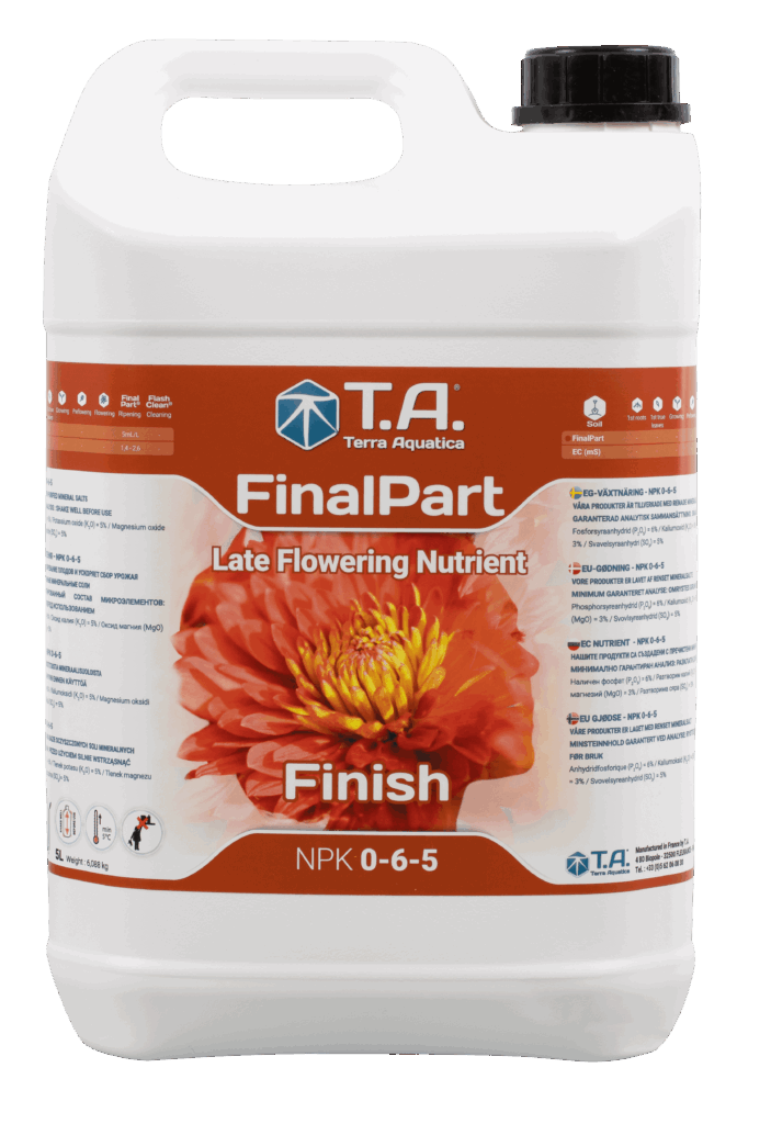 T. A. Final Part 5 l