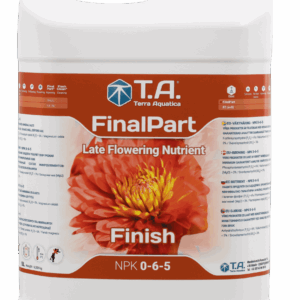 T. A. Final Part 5 l