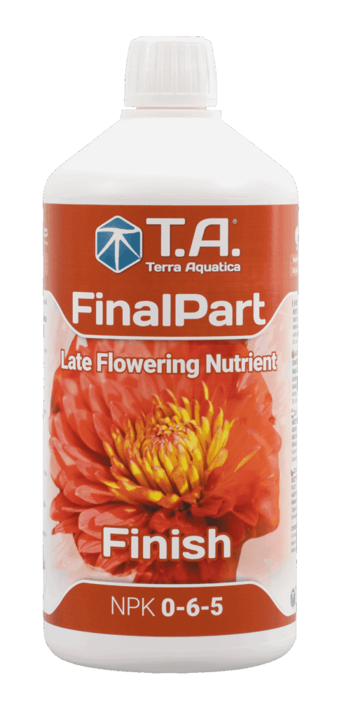 T. A. Final Part 1 l