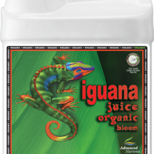AN OG Iguana Juice Bloom 10 l