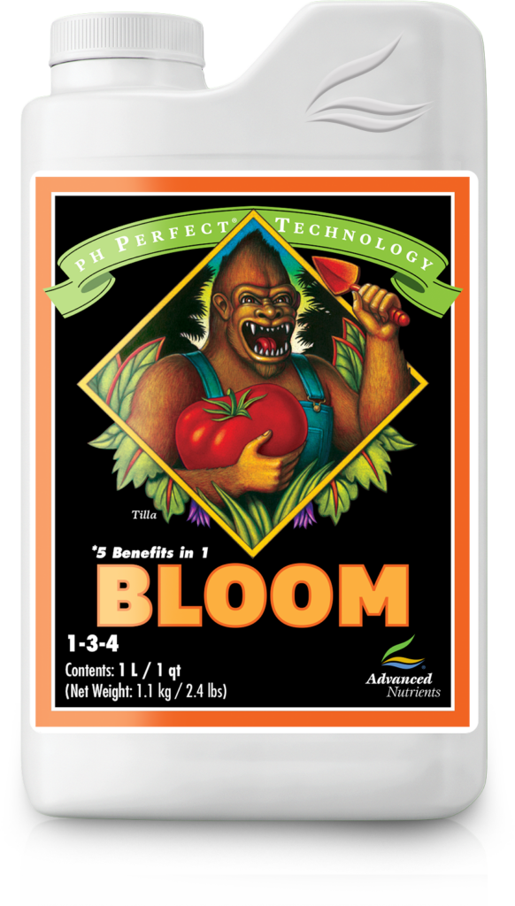 AN pH Perfect Bloom 1 l