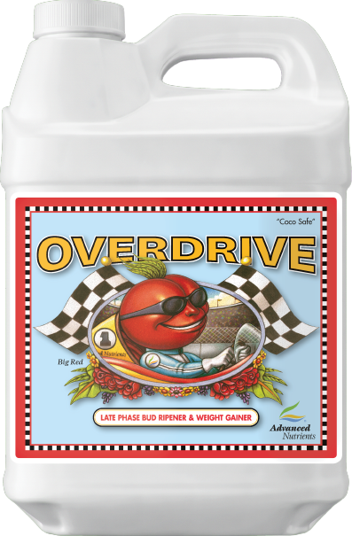 AN Overdrive 10 l 1 AN Overdrive 10 l