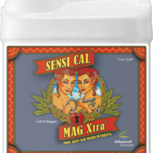 AN Sensi Terra Part Two 10 l