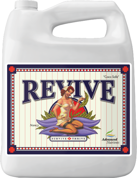 AN Revive 1 l 1 AN Revive 1 l
