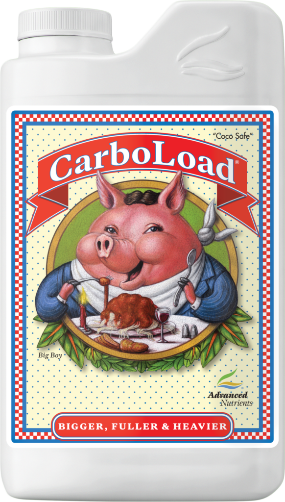 AN CarboLoad 1 l