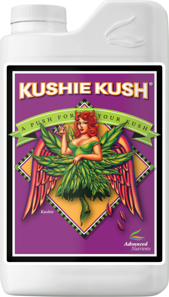 AN Kushie Kush 1 l
