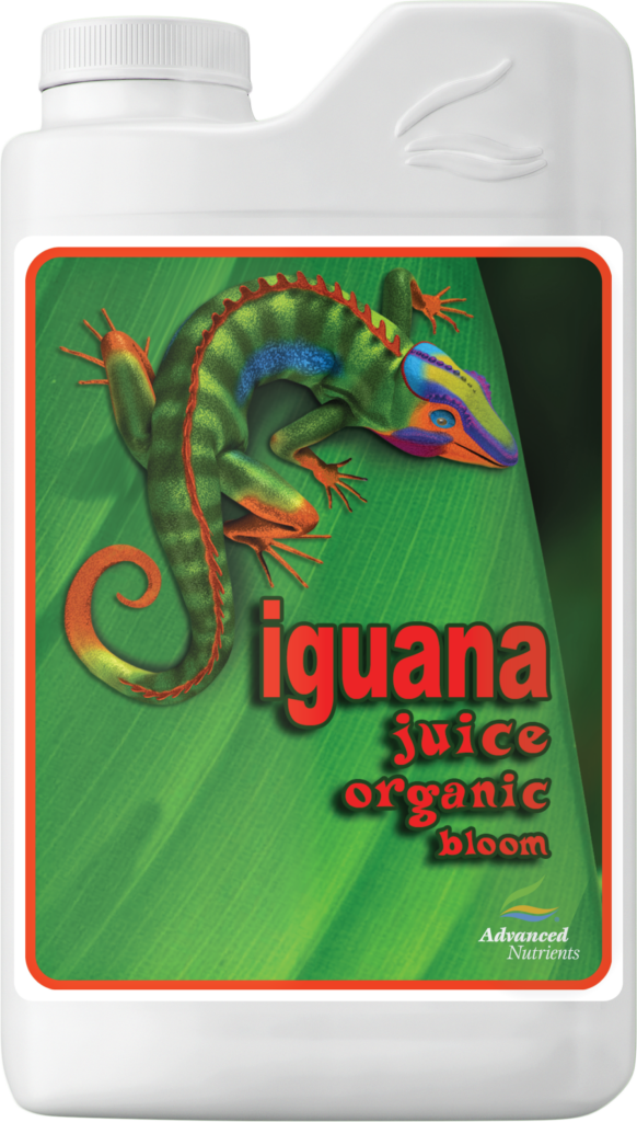 AN OG Iguana Juice Bloom 1 l