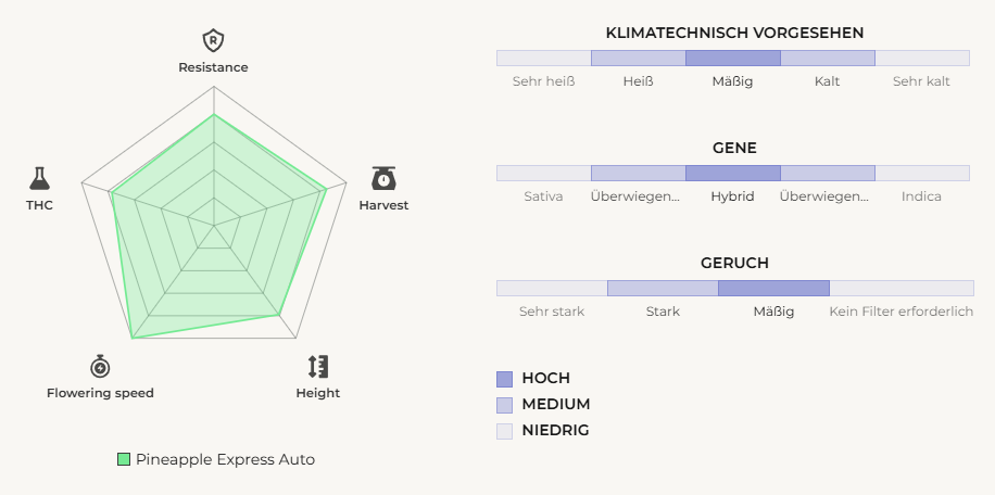 Pineapple Express 1er 2 420