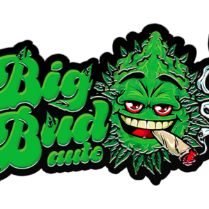 AN Big Bud 500 ml