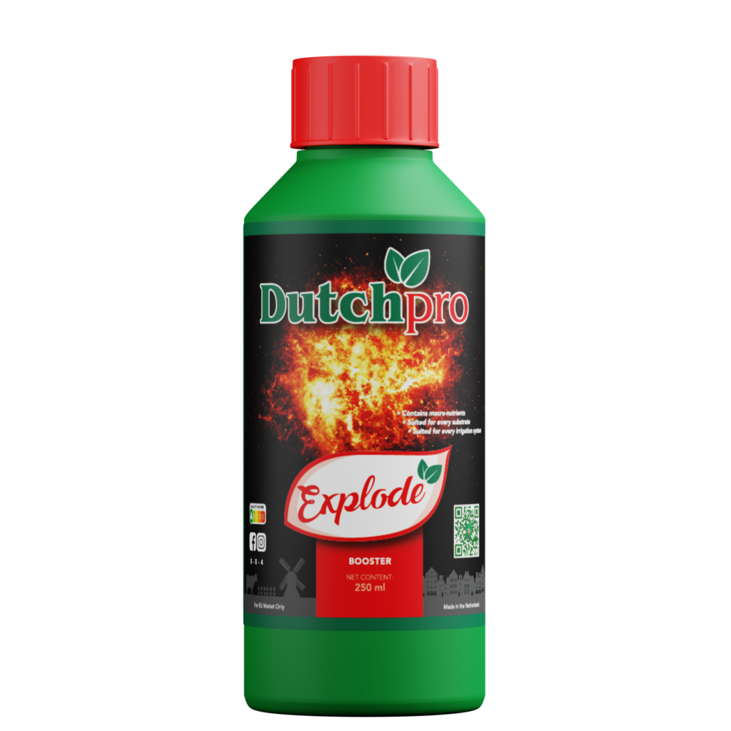 DP Explode 250ml