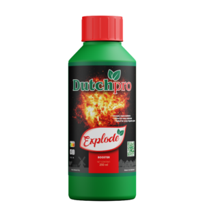 DP Explode 250ml