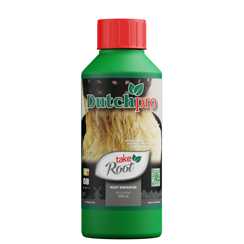 DP TakeRoot 250ml