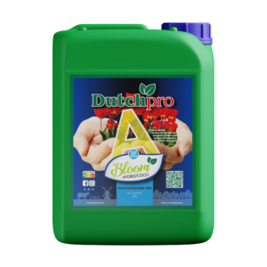 DP A+B 5l Bloom Hydro/Coco - Soft Water