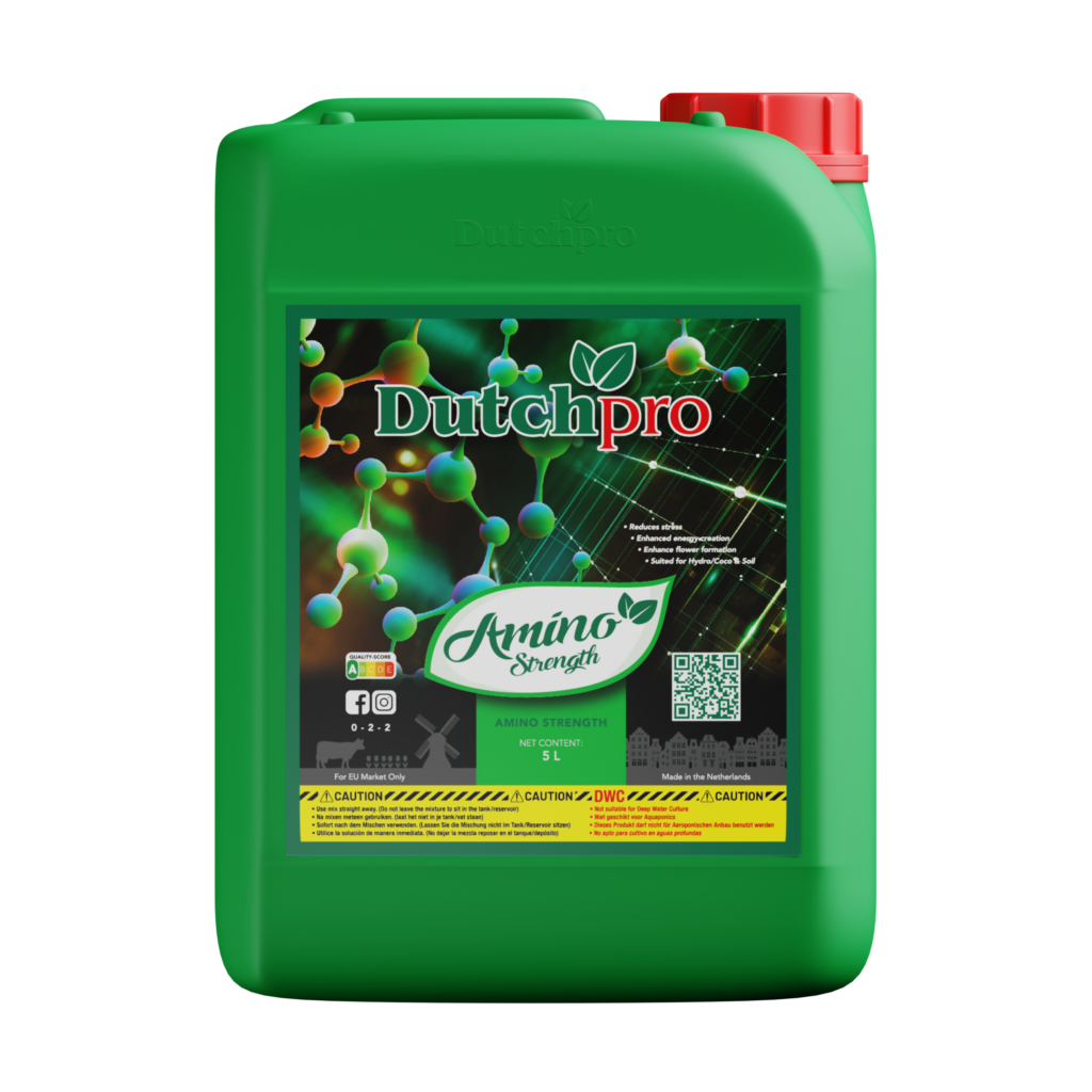 DP Amino Strenght 5l