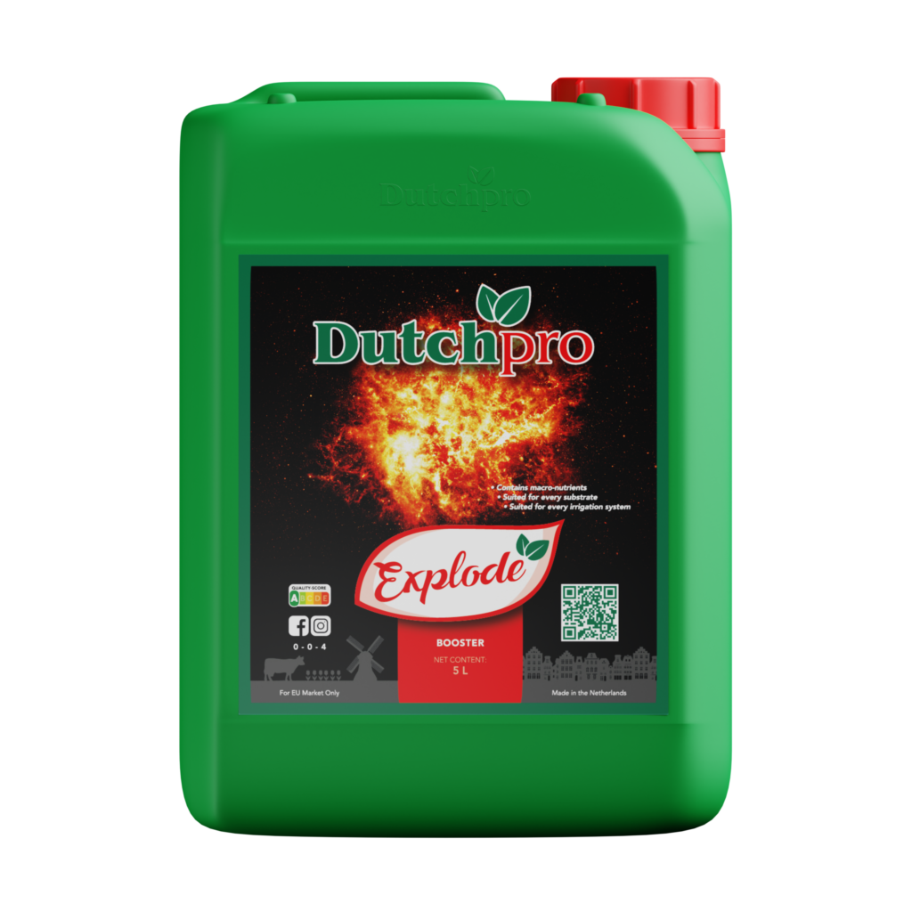 DP Explode 5l