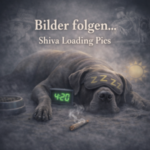 ADWA PH Elektrode A1131B