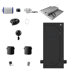 Caluma Set Ambient - 3 Plants Plus (60 x 120 cm