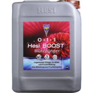 Hesi Boost