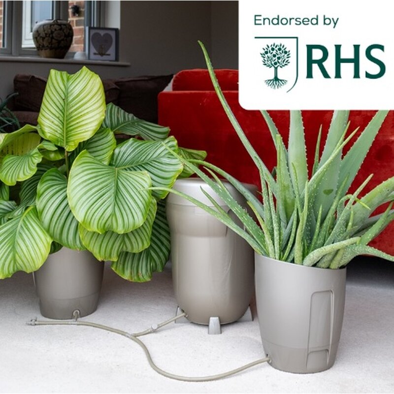 AUTOPOT Khloris Watering System &ndash; Sage (Salbei)