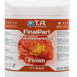 T. A. Final Part 5 l