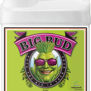 AN Big Bud 250 ml