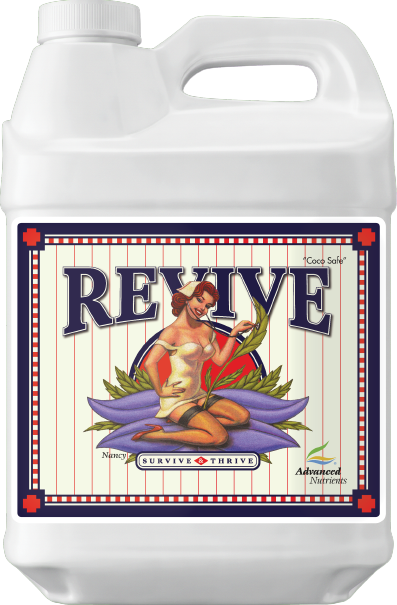 AN Revive 4 l 1 AN Revive 4 l