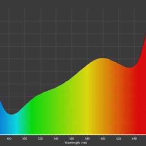 Caluma LED Force 75 W, 2.7 µmol/J (B-Ware)