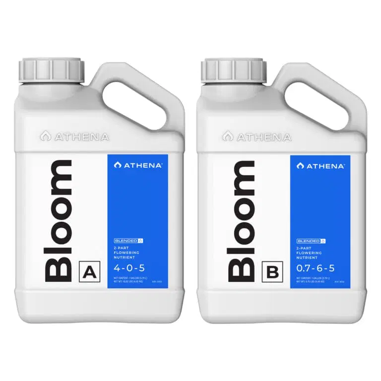 Athena Bloom A + B 18.92 l