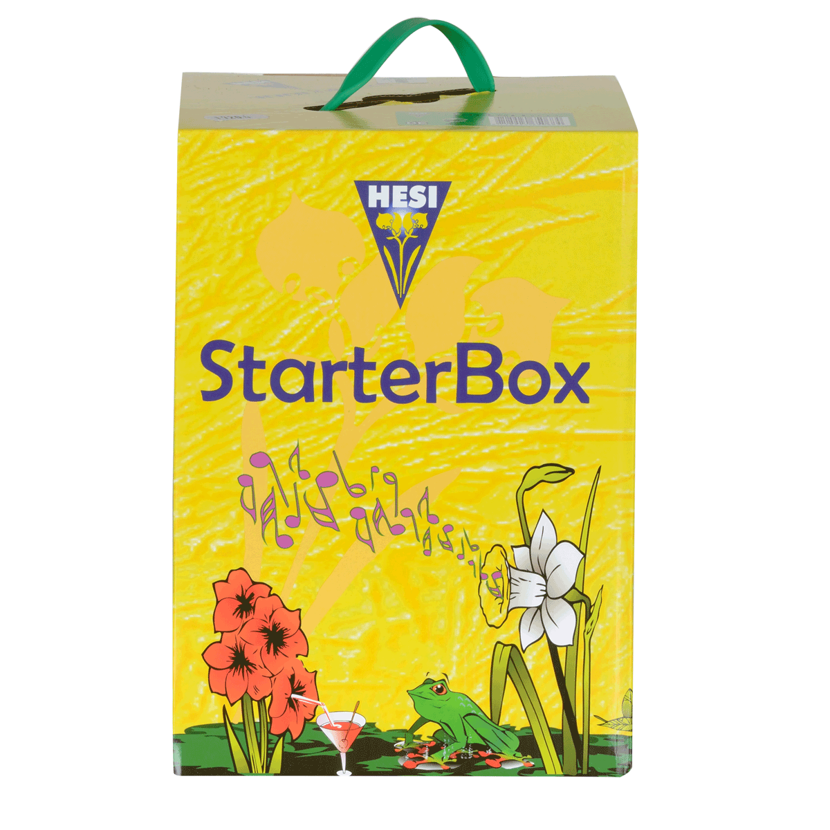 Hesi Starterbox, Coco