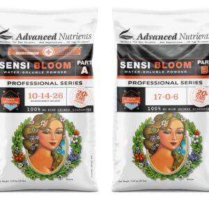 AN WSP Sensi Bloom A + B