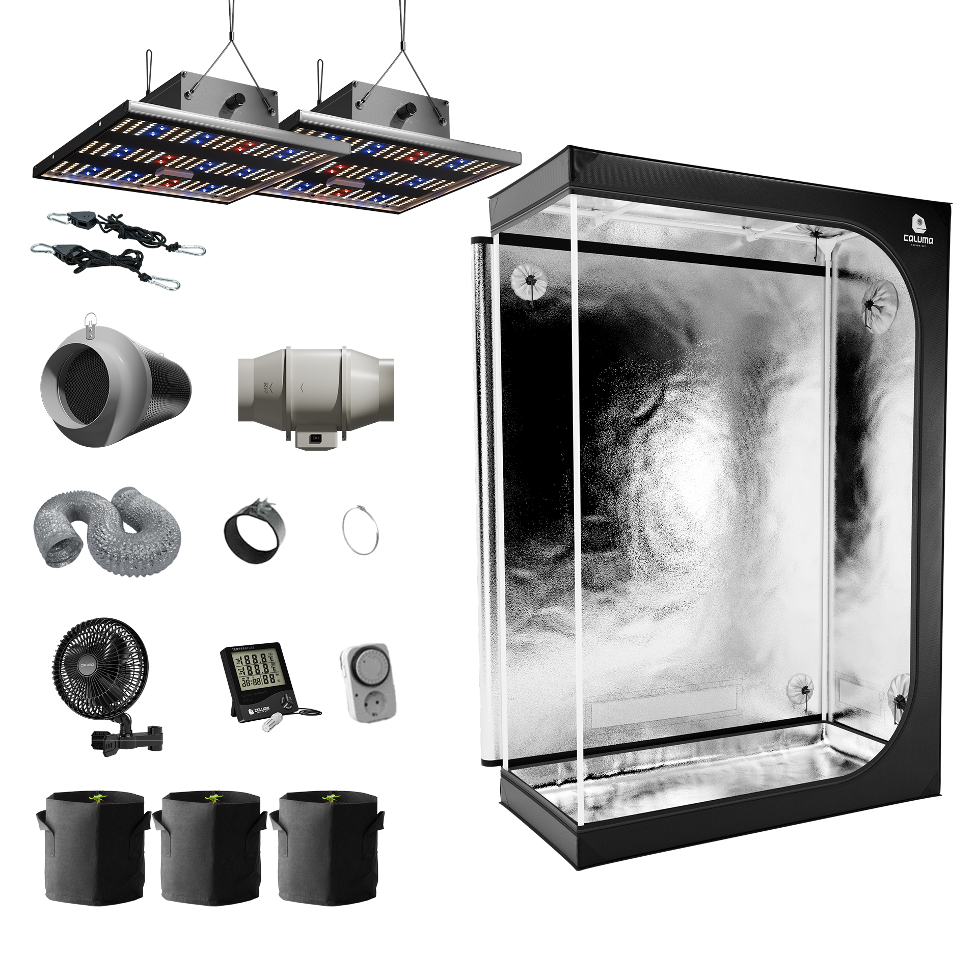 Caluma Growset Ambient