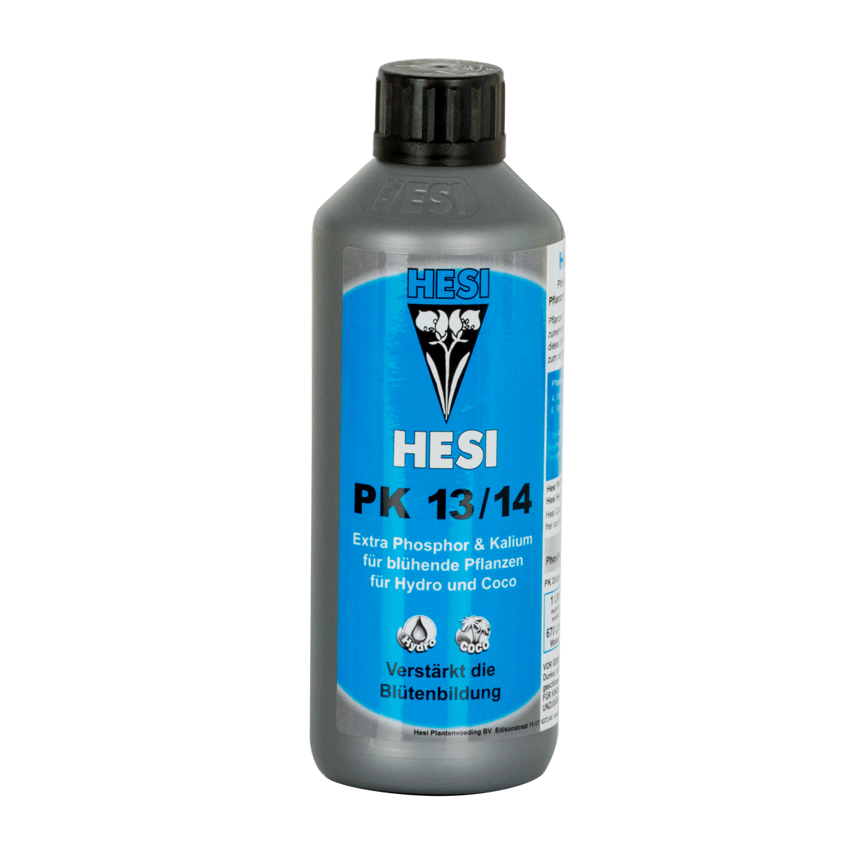 Hesi PK