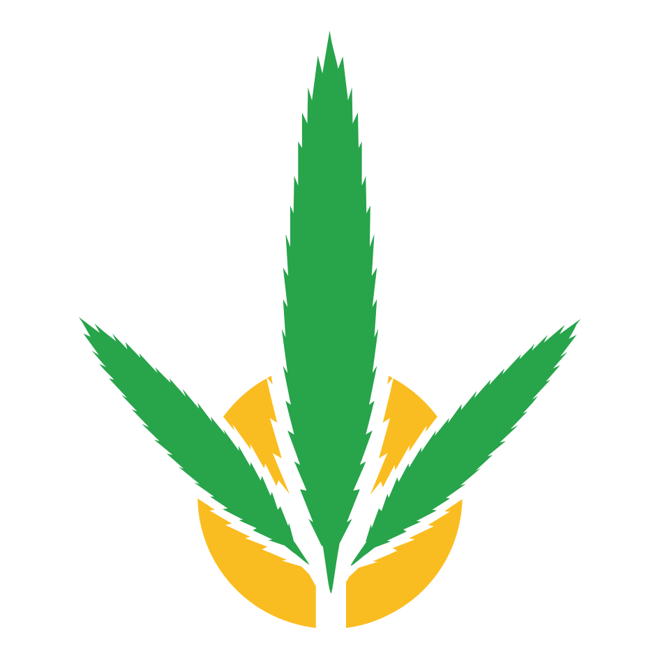 Blunt Hemparillo Cali-fire (Canela) (15 x 4 Stück)
