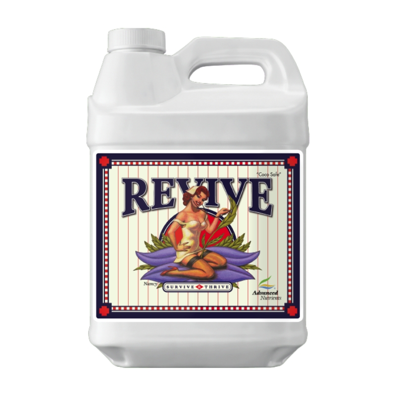 AN Revive 500 ml