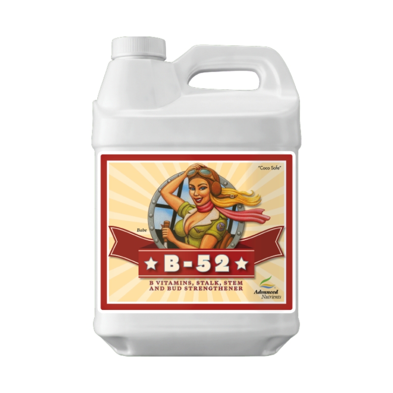 AN B-52 250 ml