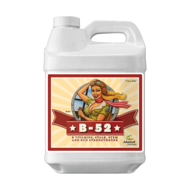 AN B-52 500 ml