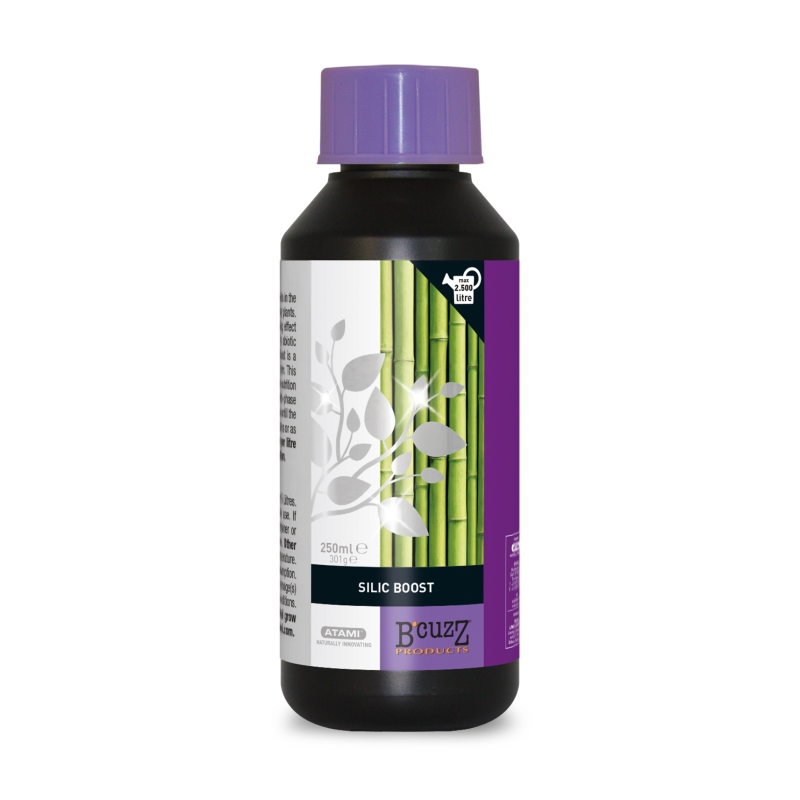 ATAMI B'Cuzz Silic Boost 250ml