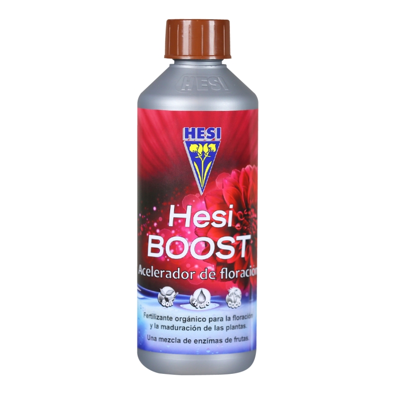 Hesi Boost