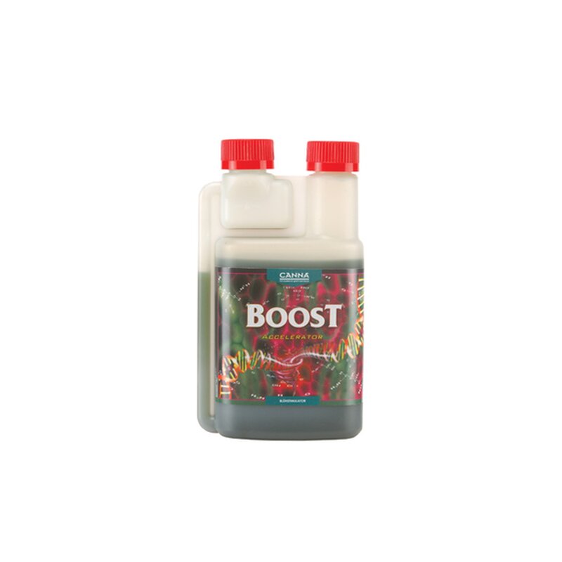 CANNA BOOST Accelerator